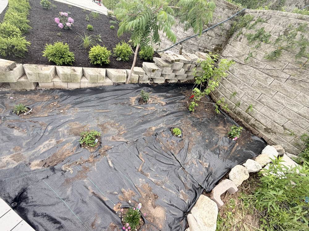 Planting & Tree/Shrub Services